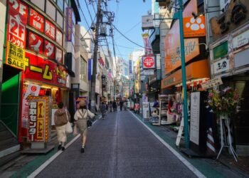 নেই ডাস্টবিন-তবু ঝকঝকে শহর